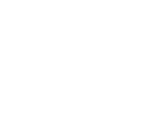 Holistic Fitness